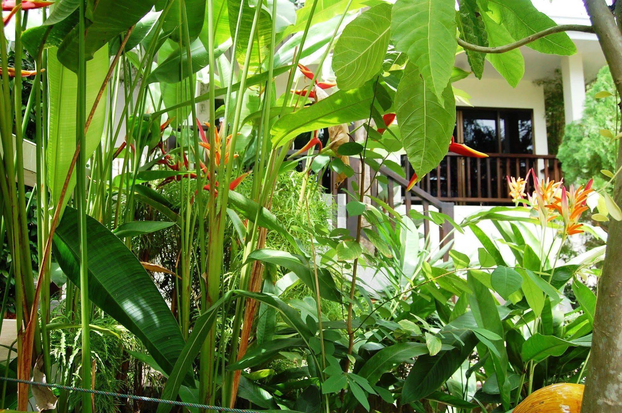 Baan Sawan Samui Resort Bãi biển Chaweng Ngoại thất bức ảnh